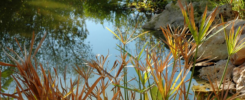 detox international retreat mind body spirit water detox clients